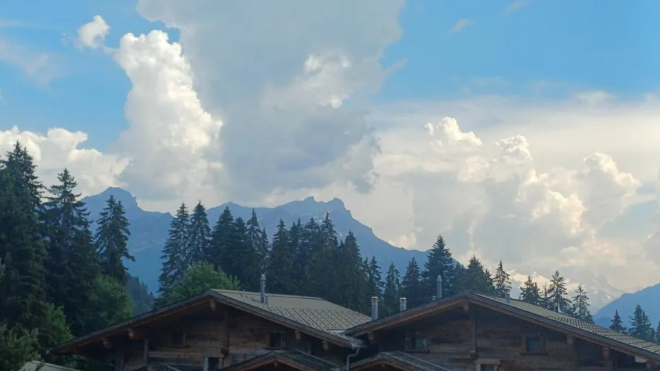Appartamento 4.5 locali a Chesières – foto 23 di 26