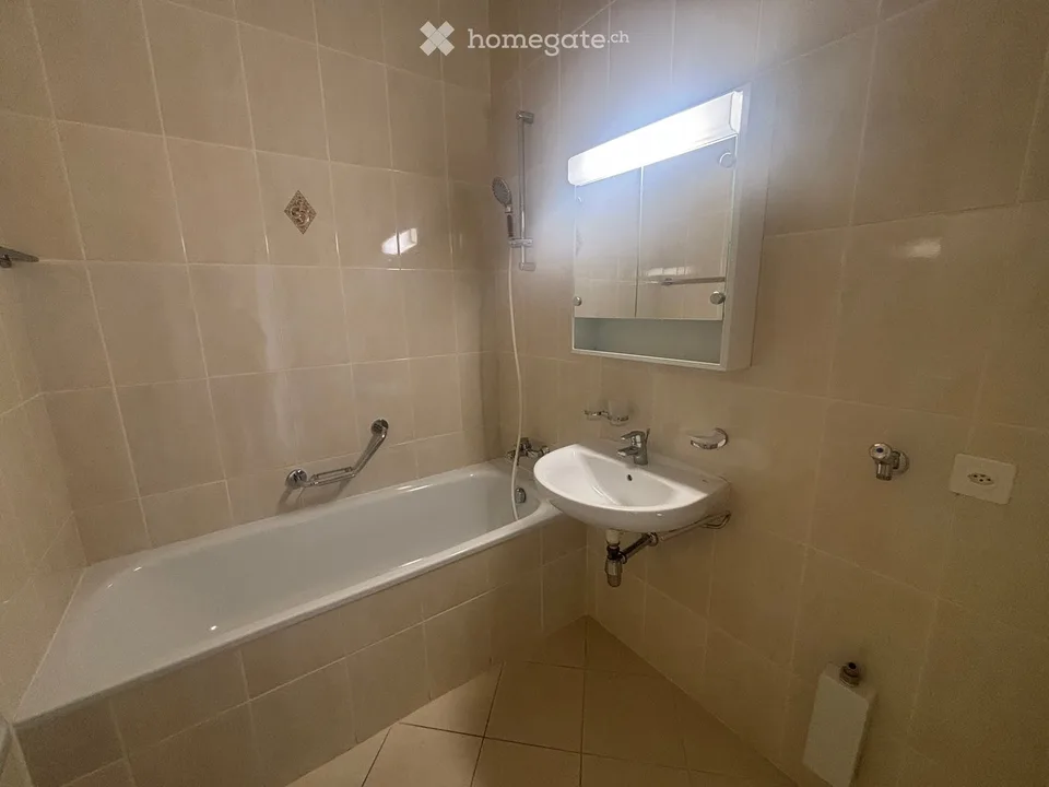 Schönes 4-Zimmer-Apartment zur Miete - 1203 Genf