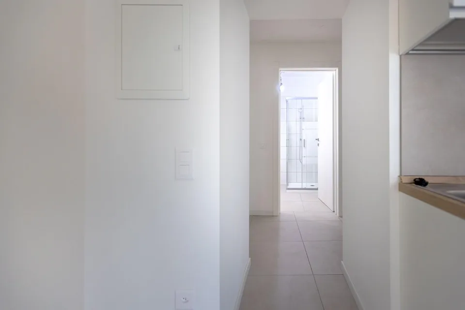 Großzügiges und geräumiges Einzimmerapartment im Erdgeschoss in Capolago