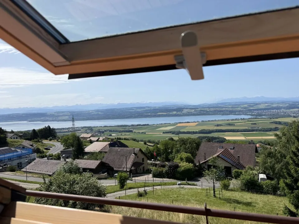 Magnifique appartement