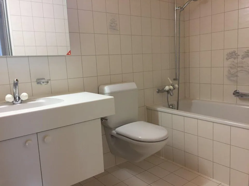3 1/2-Zimmerwohnung, 2. Stock links