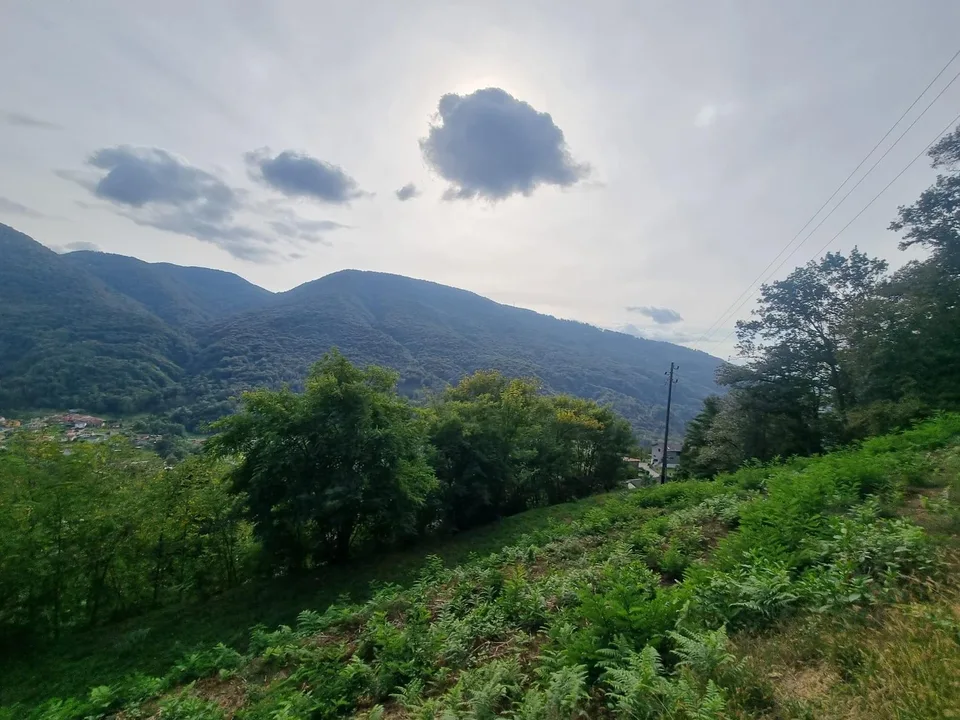 TERRENO EDIFICABILE DI 2567 MQ CON VISTA APERTA A MONTEGGIO