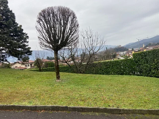 Bauplatz von 705 m² in der Zone Montalbano in Stabio