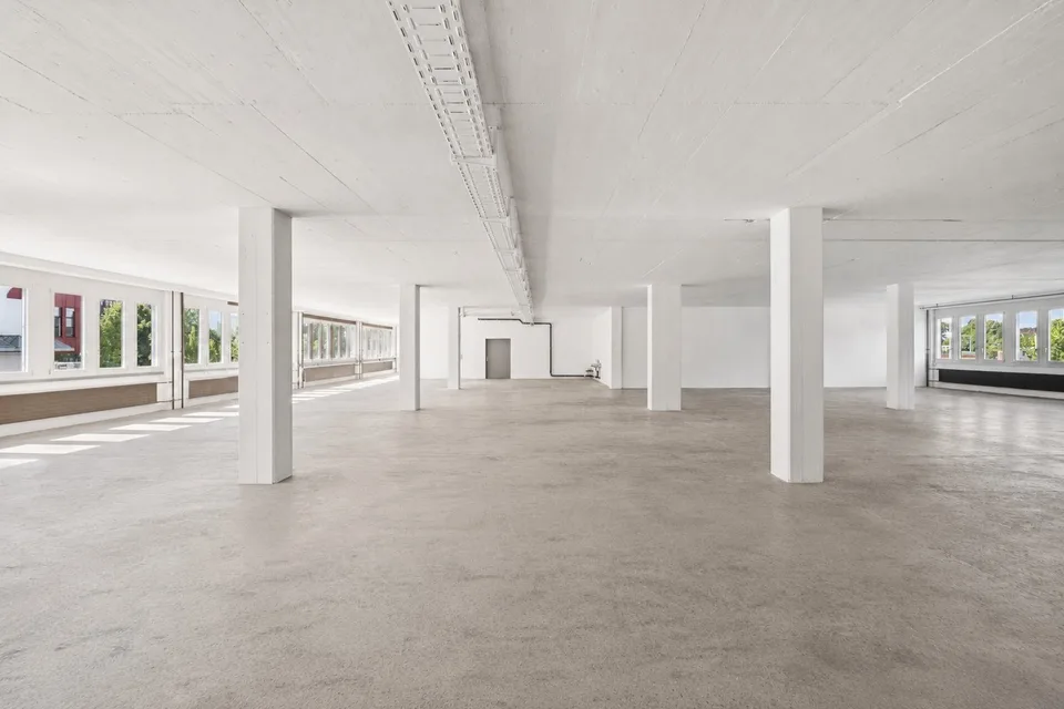 Flexible 488 m² Geschäftsfläche für Büro, Atelier, Showroom oder Lager in Cham
