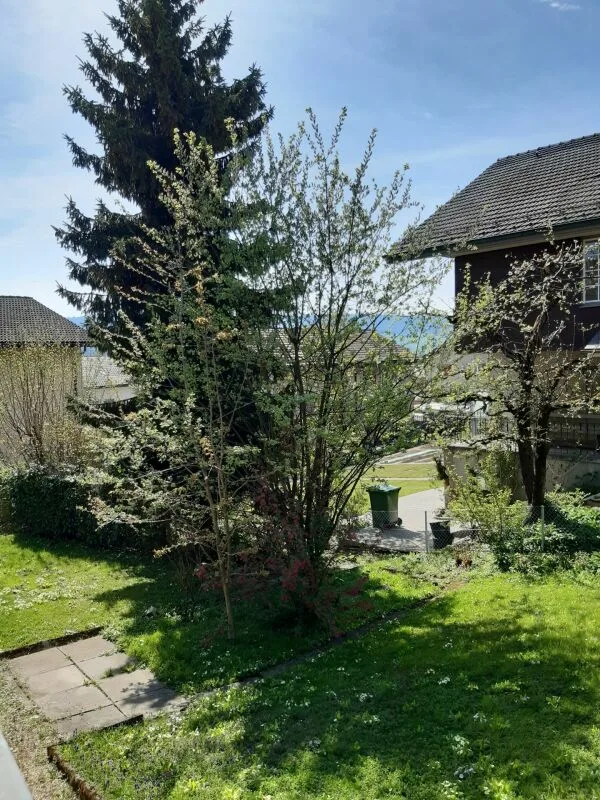 3-Zimmer-Wohnung
