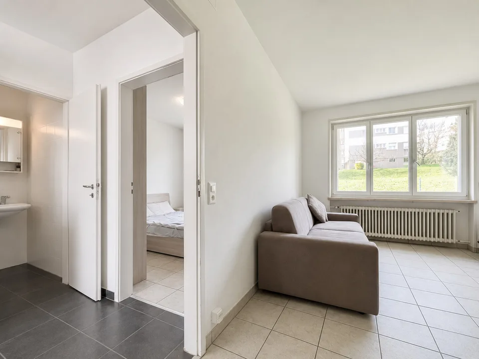 Appartement 2 pièces moderne meublé à Breganzona