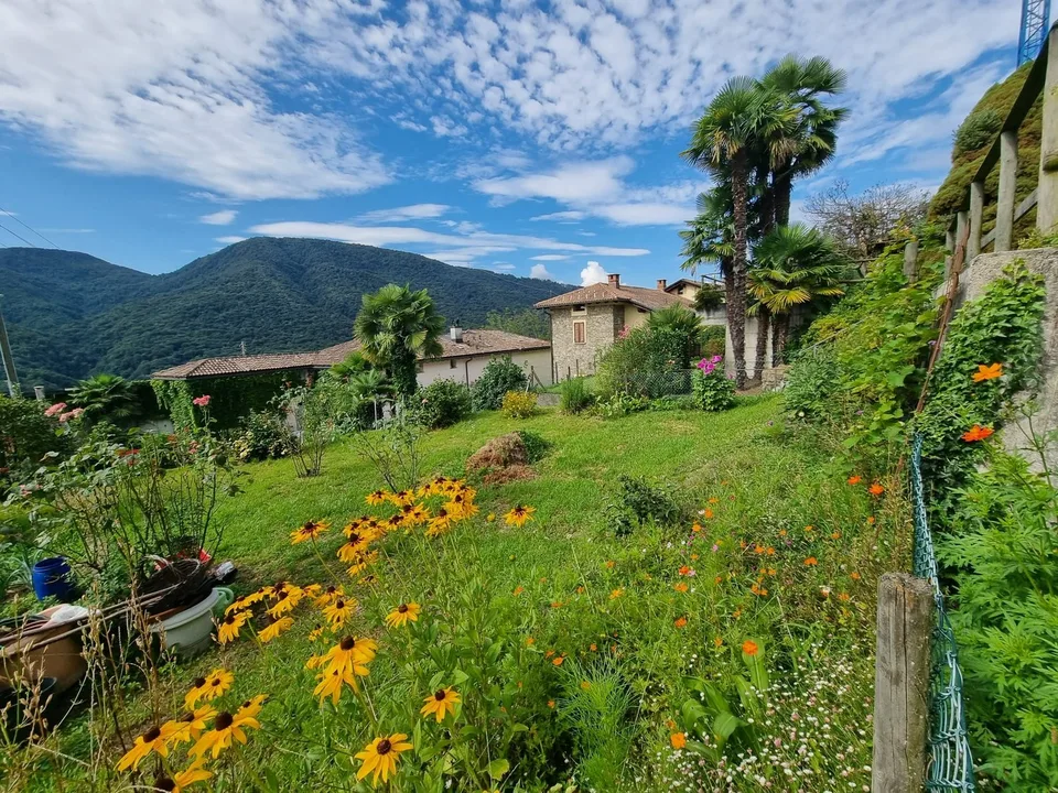 SPLENDIDO TERRENO EDIFICABILE CON PROGETTO A MONTEGGIO