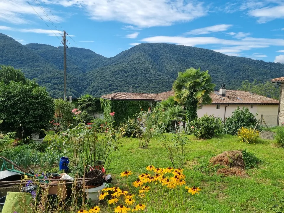 SPLENDIDO TERRENO EDIFICABILE CON PROGETTO A MONTEGGIO