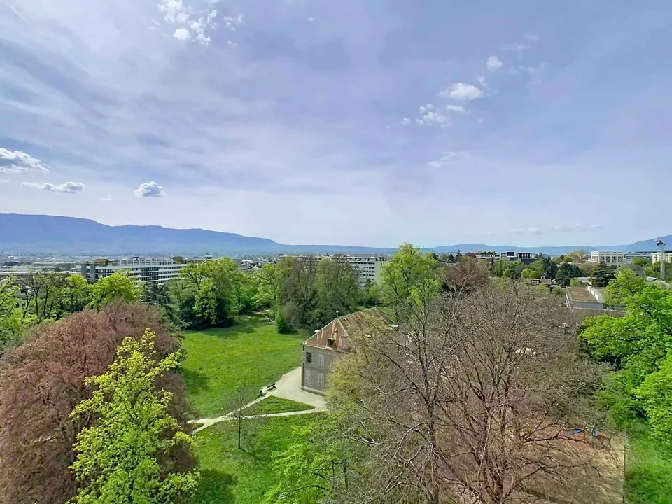 Budé- Vaste appartement de 7 pièces au dernier étage