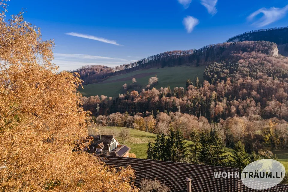 Parcelle de construction entièrement aménagée (construite) avec vue à Hauenstein-Ifenthal à vendre