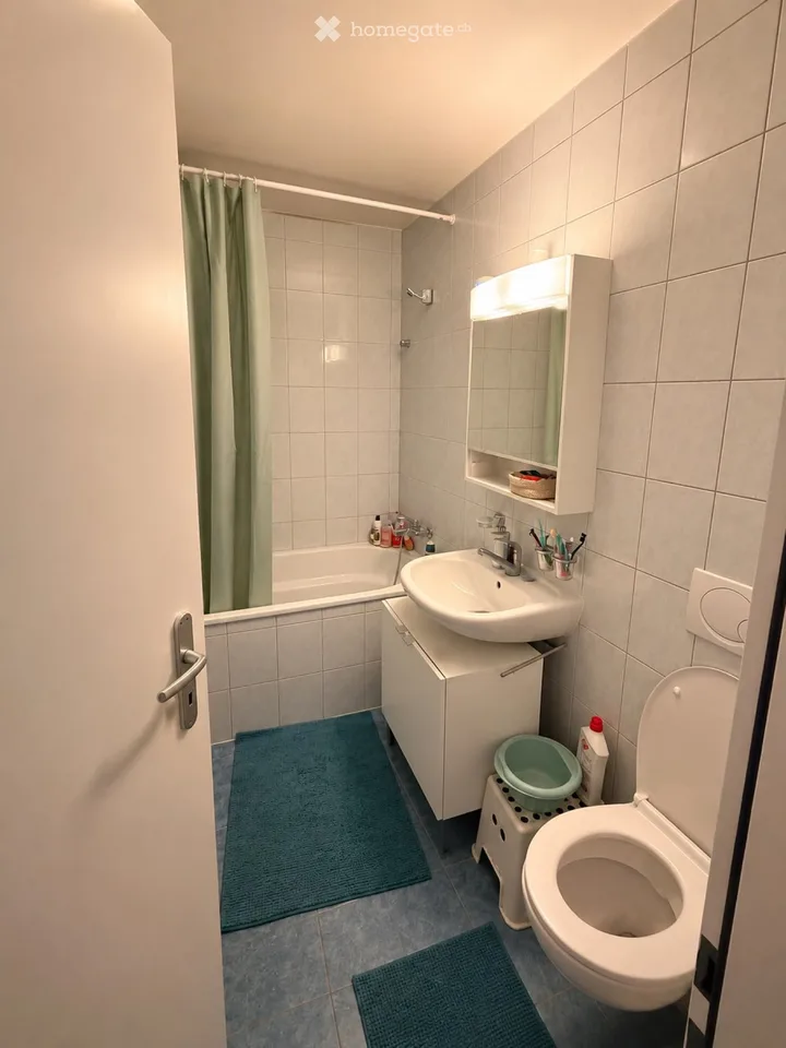 Attico di 3 locali con grande terrazza e vista sul lago