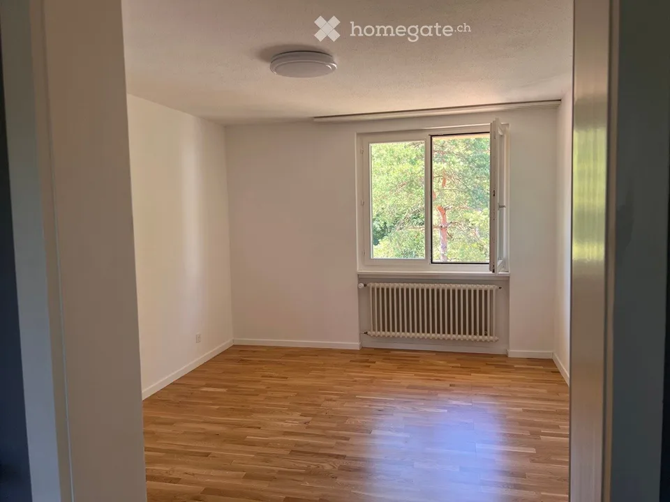 Vivre calmement dans le vert – appartement 4 pièces avec grande garage à Umiken
