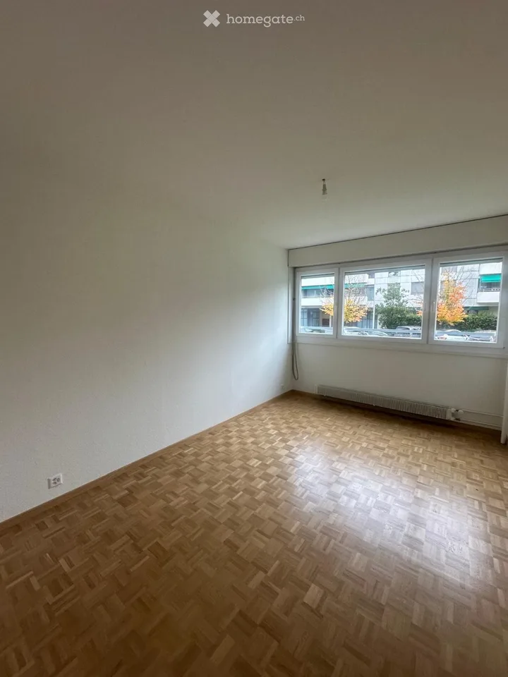 Vier-Zimmer-Wohnung in Lancy
