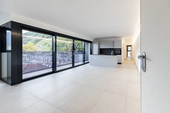3.5 LOCARNO: LâEQUILIBRIO PERFETTO TRA CENTRO E COMFORT