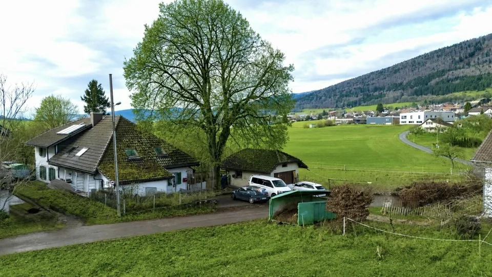 Bella casa con appartamento indipendente e terreno di 4'500 m2