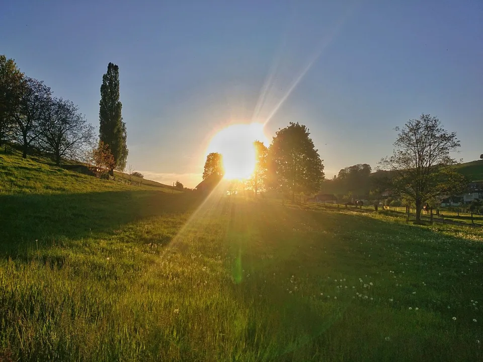 Top 9 1/2 Zimmer Einfamilienhaus im Grünen – Foto 8 von 21