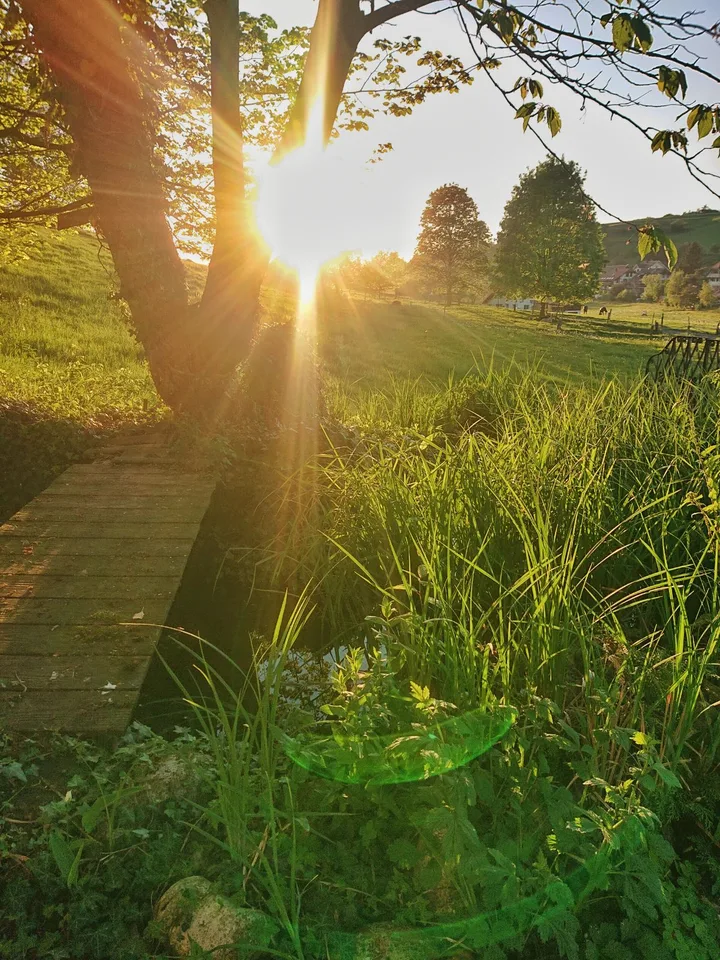 Top 9 1/2 Zimmer Einfamilienhaus im Grünen – Foto 9 von 21