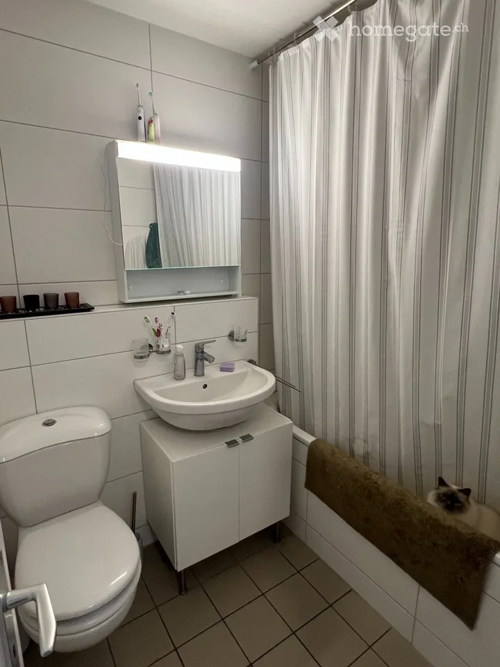 Duplex/Haus mit 4.5 Zimmern zur Miete in Villars-sur-Glâne