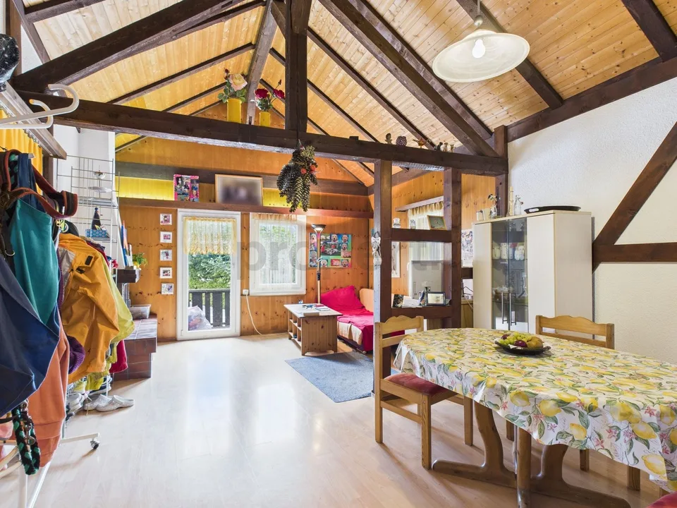 Un'opportunità unica nel cuore della Svizzera - Vivere e ospitalità a Meiringen-Haslital