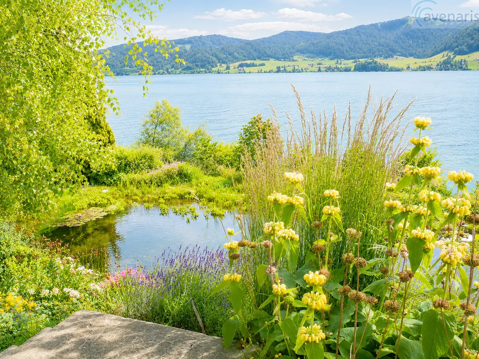 Ihr Wohntraum mit Panoramaausblick am Sihlsee