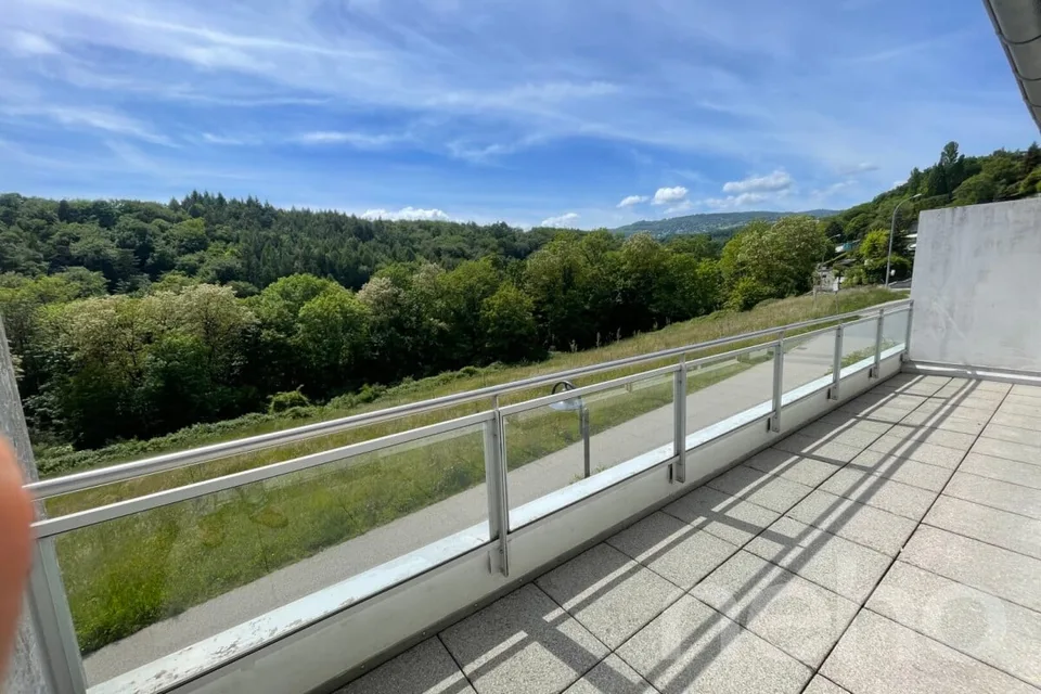 Overlooking the forest and an orchard – photo 14 of 20
