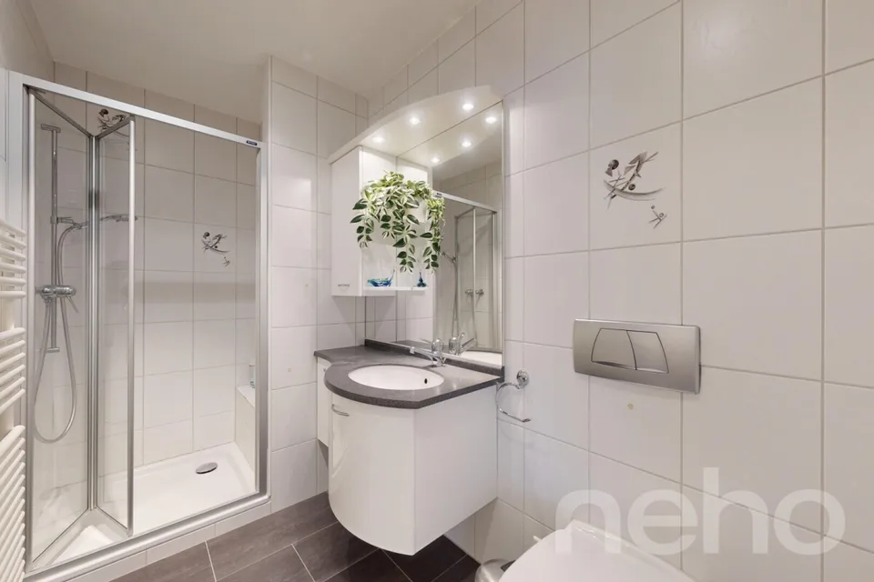 Attic apartment with charm and view of Belpberg – photo 19 of 20