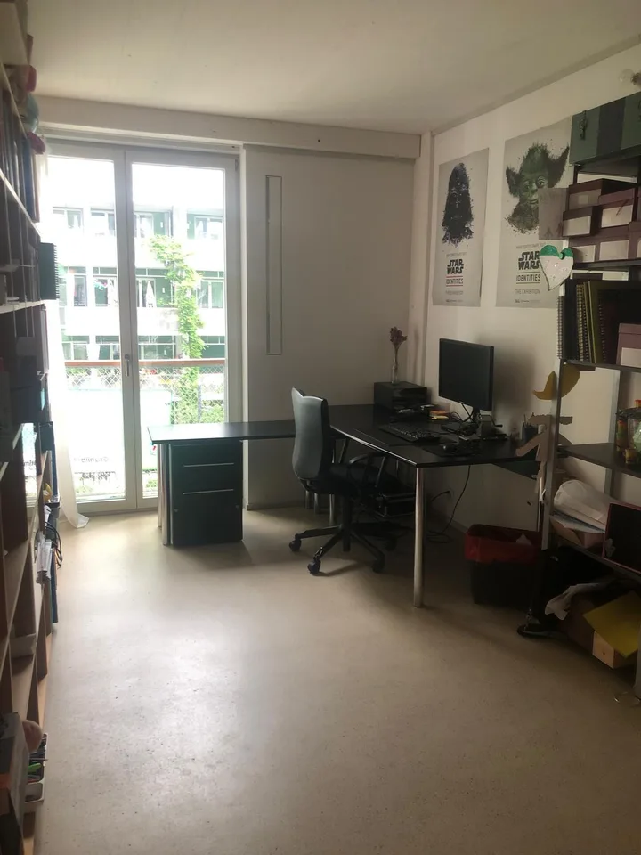 4½ ZI-WOHNUNG IN WINTERTHUR - STADT, MÖBLIERT, TEMPORÄR – foto 3 di 20