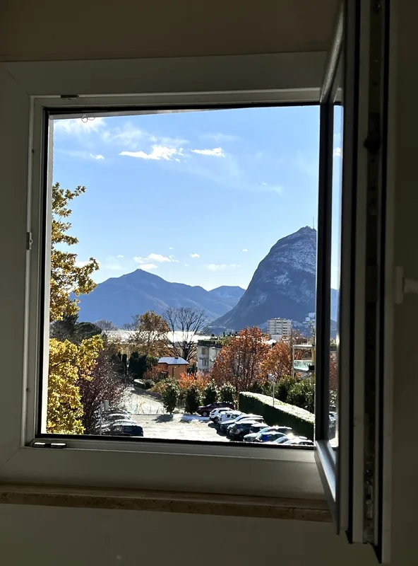 3½ ZI-WOHNUNG IN PREGASSONA (TI), MÖBLIERT – Foto 10 von 19