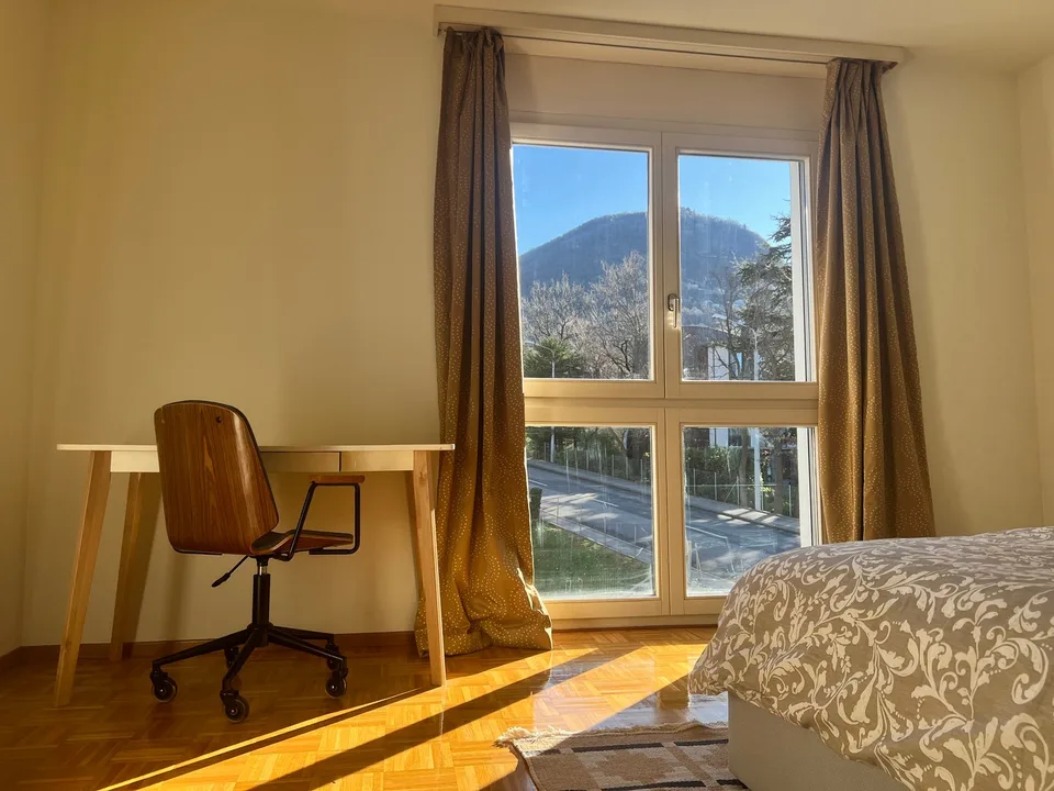 3½ ZI-WOHNUNG IN PREGASSONA (TI), MÖBLIERT – Foto 6 von 19
