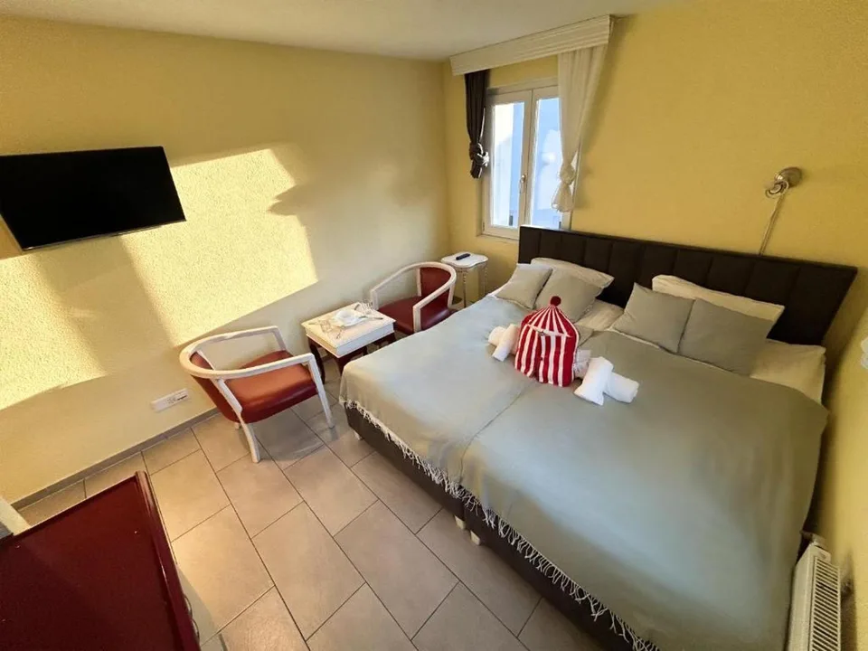 Gemütliches 1-Zimmer-Apartment an der Langstrasse in Zürich