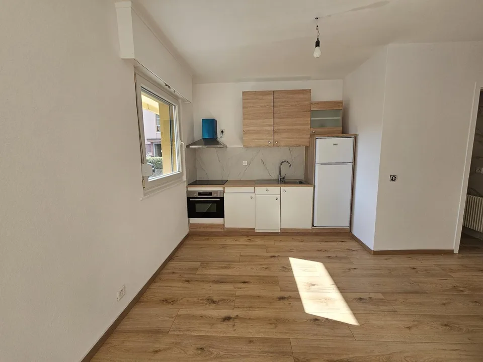 Magnifique appartement de rendement rénové