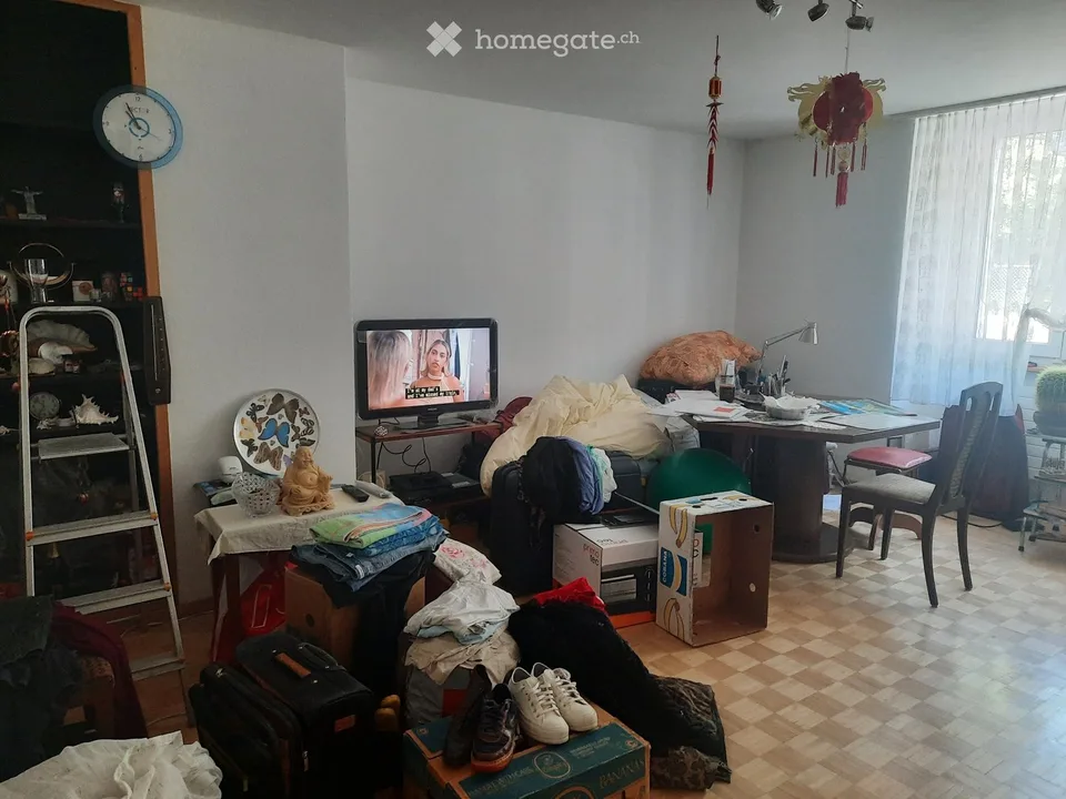 Sonvilier - Apartment / Wohnung