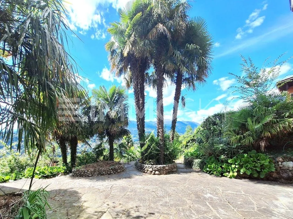 Piscina, giardino e ambienti luminosi