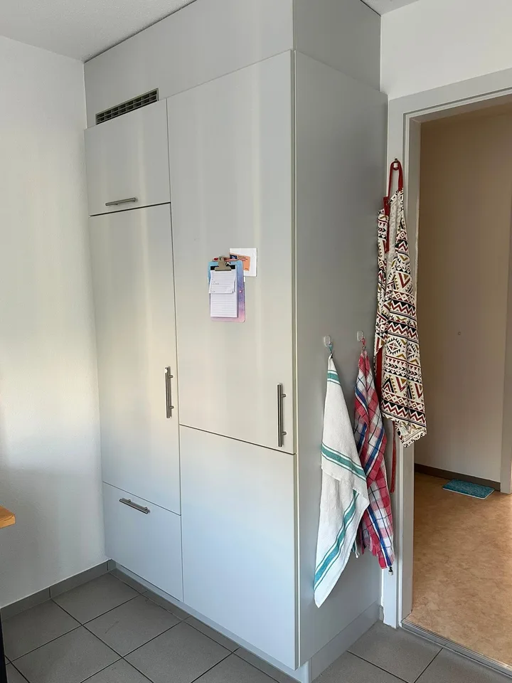 Appartamento di 3 camere dal 01.08.2026 o su accordo