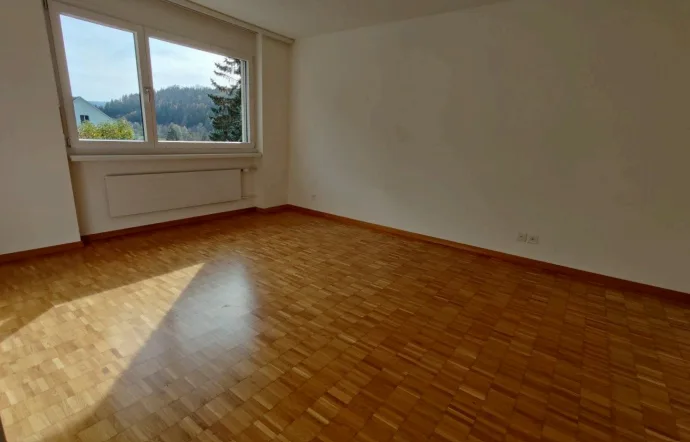 Ruhige grosszügige 4.5-Zimmer-Wohnung mit Terrasse in Stallikon
