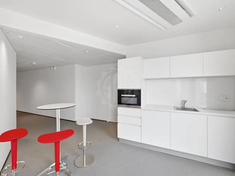 Uffici prestigiosi - Ginevra – foto 10 di 10