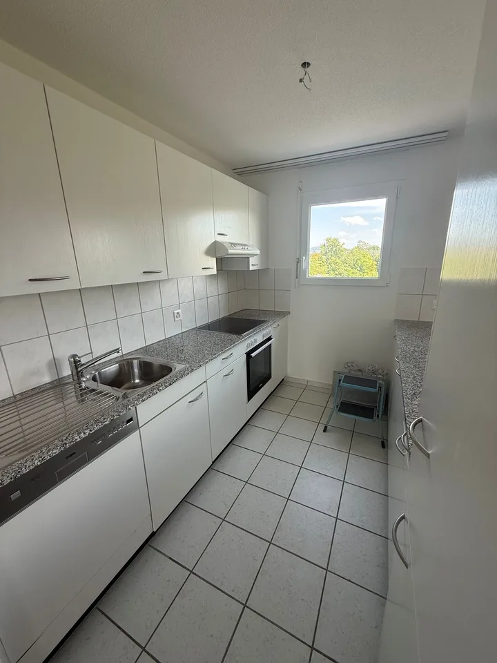 Helle 3.5-Zimmer-Wohnung mit Balkon in Winterthur
