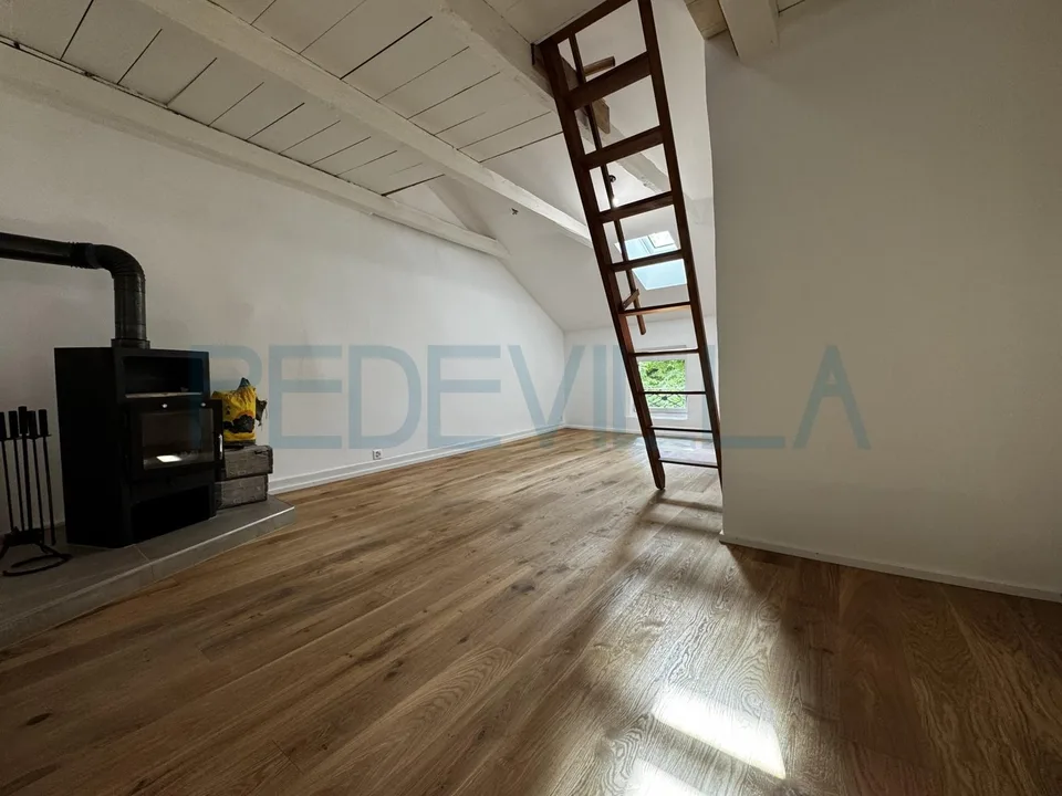 À louer ? Joli 1,5 pièce rénové avec mezzanine ? Un logement plein de charme
