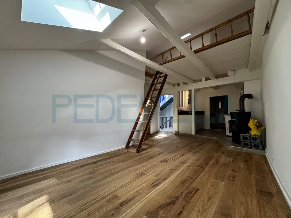 À louer ? Joli 1,5 pièce rénové avec mezzanine ? Un logement plein de charme