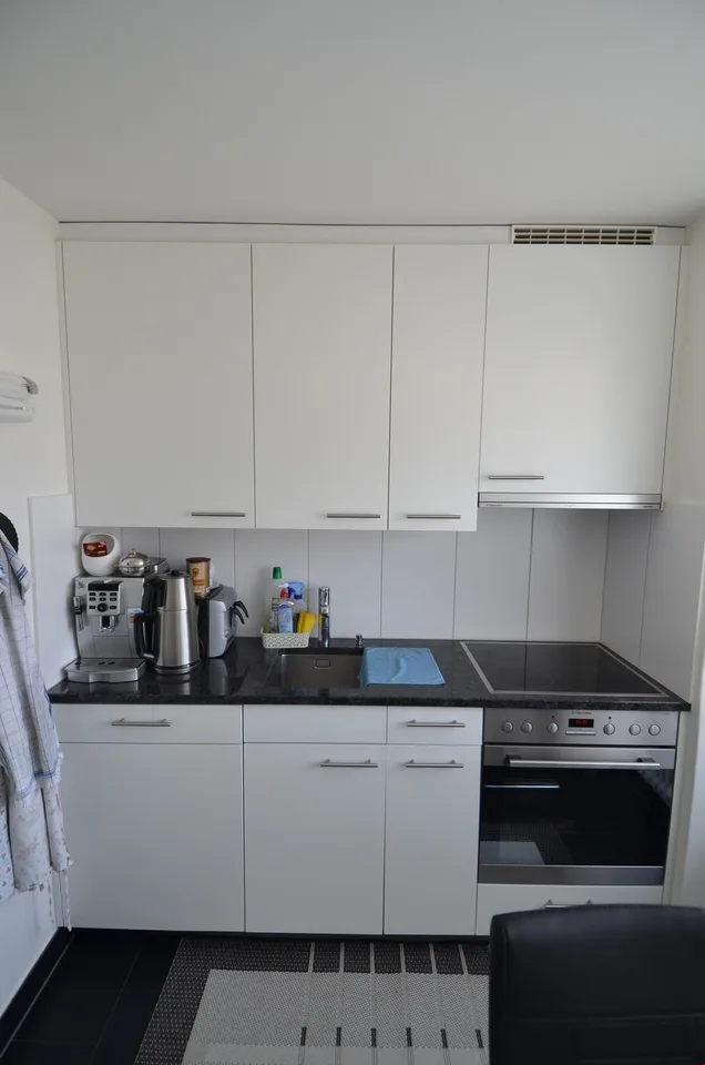 Bright 4-room apartment with new kitchen