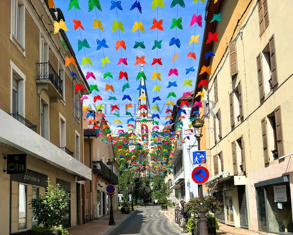 Albertville-centre. T4 traversant, 2 balcons. Viager