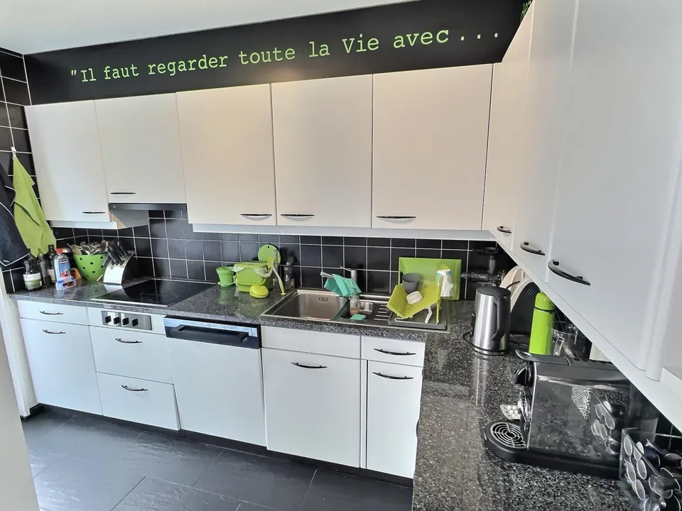 Deux magnifiques appartements en viager semi-occupé sans rente avec rendement.