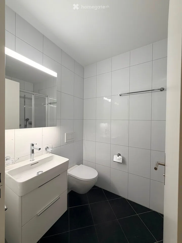 Bright Office Space for Rent in Zug – Feldhof 2