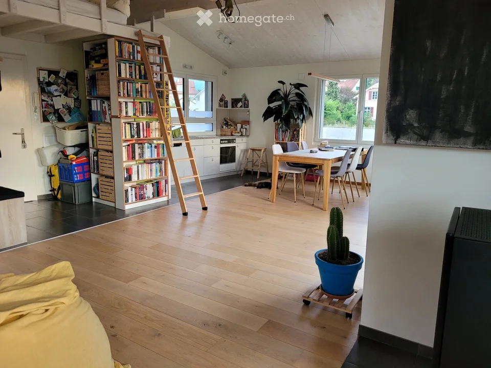 Large one-room apartment (loft) for rent in Liestal