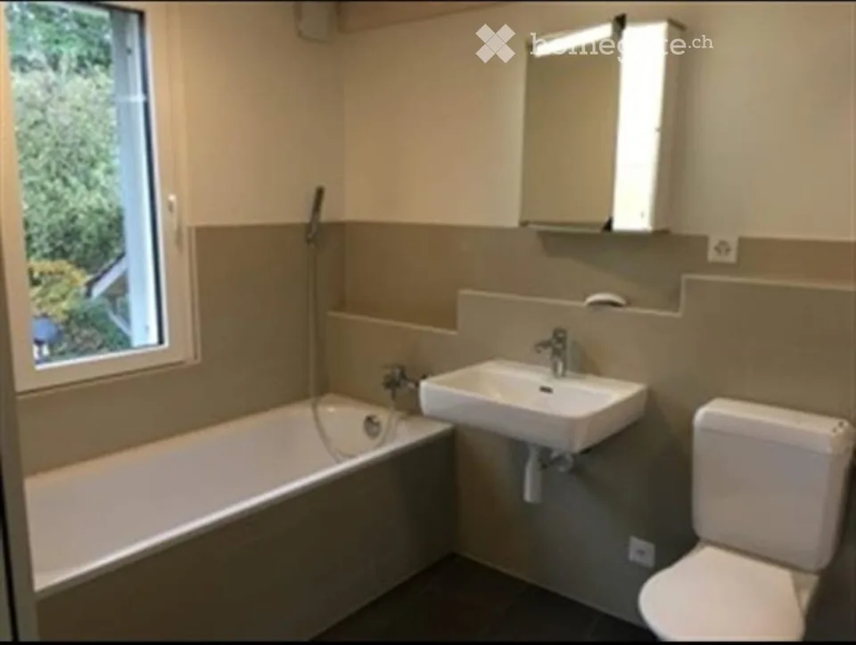Large one-room apartment (loft) for rent in Liestal