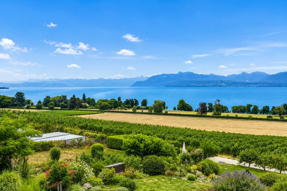 SUPERBE DUPLEX  DE STANDING AVEC PANORAMA D EXCEPTION SUR LE LAC