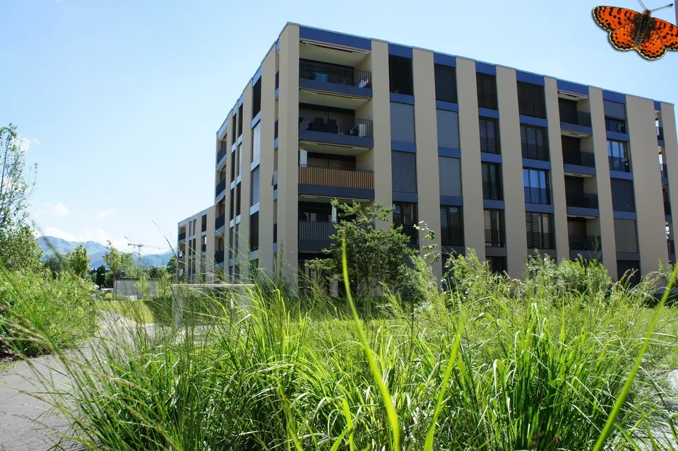 3 ½ PIÈCES AU REZ-DE-CHAUSSÉE - avec jolie terrasse !