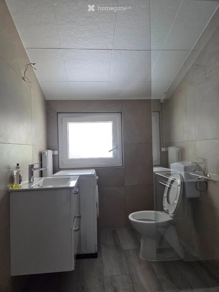 3.5 room apartment with balcony