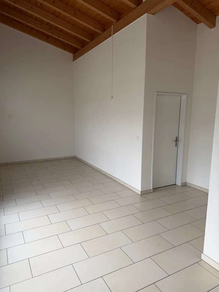 Einmalige 2 Zimmerwohnung mit riesiger Terasse!