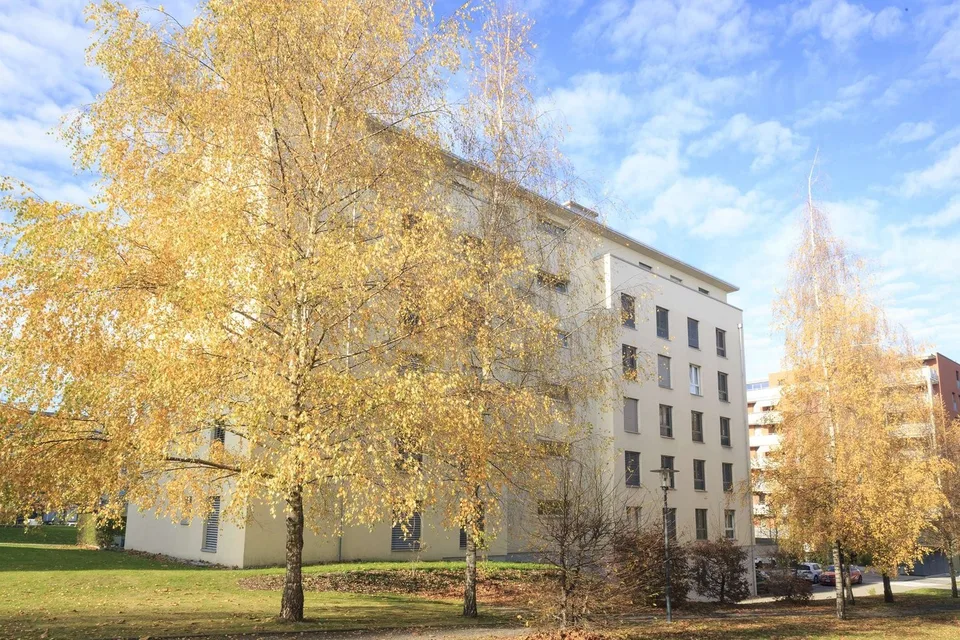 Wohnung 4.5 Zimmer im 5. Dachgeschoss